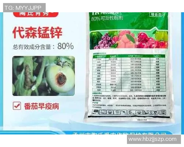 陶姓足球员的代表性球星是谁?探寻中国足球中的陶姓人物与成就